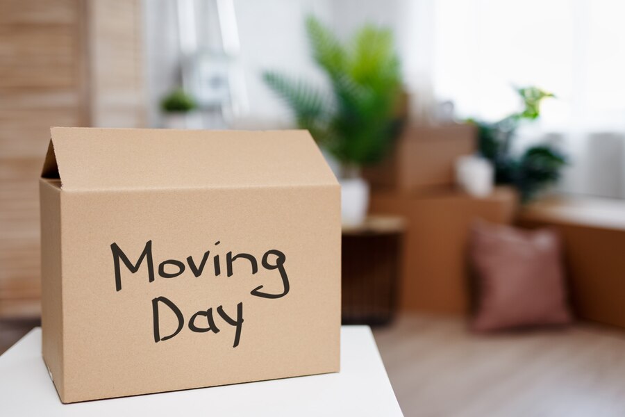 Move Day Coordination, Boca Raton Home Organizers